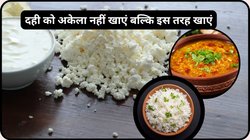 दही को इन 2 सुपरफूड के साथ खाएं, आपके लिए अमृत बन जाएंगे ये, आयुर्वेदिक एक्सपर्ट ने बताया फूड कॉम्बिनेशन