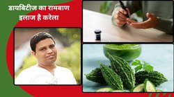 Bitter gourd and Diabetes: ज़हर नहीं अमृत है करेला, डायबिटीज का है रामबाण इलाज, आचार्य बालकृष्ण ने बताया डायबिटीज मरीज़ रोज़ खाएं