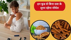 डायबिटीज मरीज दिन की शुरुआत इन 3 फूड्स से करें, बिना दवा के Blood Sugar हो जाएगा कंट्रोल, इंसुलिन की कभी नहीं होगी कमी