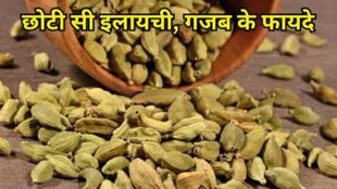 soaked cardamom, cardamom, soaked cardamom on empty stomach in morning, benefits of cardamom, elaichi ke fayde, elaichi, elaichi ke fayde in hindi