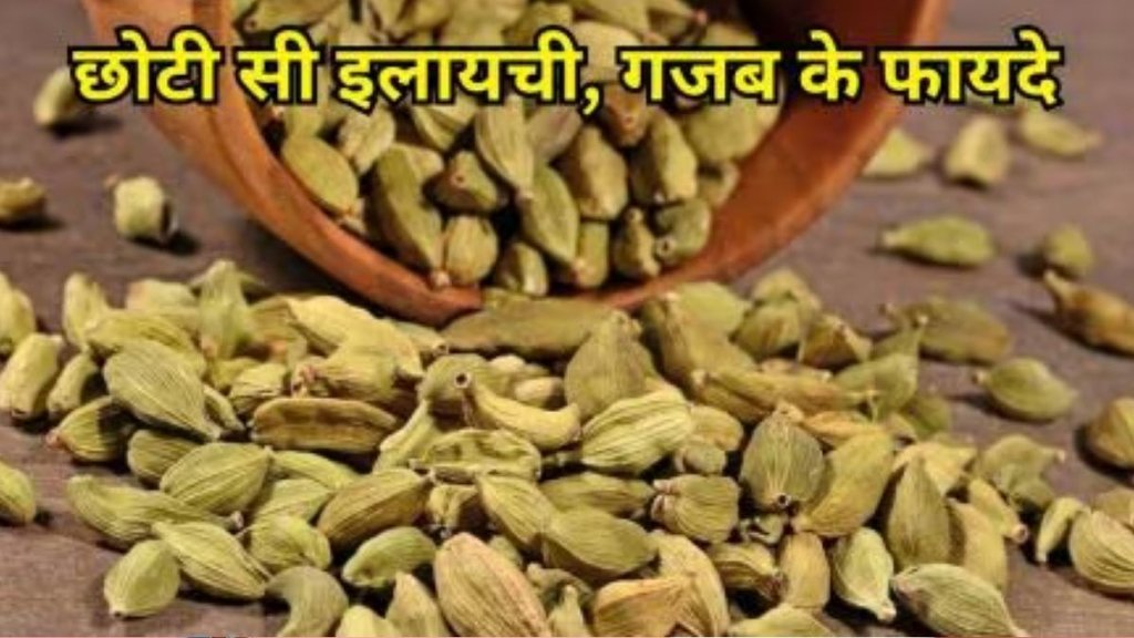 soaked cardamom, cardamom, soaked cardamom on empty stomach in morning, benefits of cardamom, elaichi ke fayde, elaichi, elaichi ke fayde in hindi