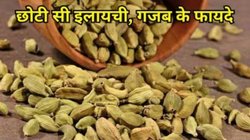 महंगी सही, मगर चमत्कारी है इलायची, डाइट में शामिल करने से बॉडी में दिखेंगे ये 5 बड़े बदलाव, जानिए