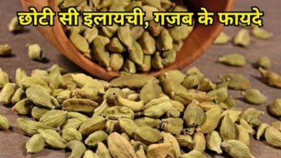 इलायची को डाइट में शामिल करने से बॉडी में दिखेंगे ये 5 बड़े बदलाव, जानिए