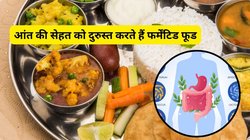गट हेल्थ के लिए रामबाण है Fermented Foods, रोज करेंगे डाइट में शामिल तो चकाचक रहेगा पेट, देखिए फायदा पहुंचाने वाले फर्मेंटिड फूड की लिस्ट