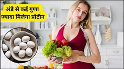 वेजिटेरियंस आंख बंद करके खा लें ये 7 फूड्स, अंडे से ज्यादा मिलेगा प्रोटीन