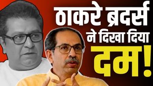 uddhav, raj, hindi