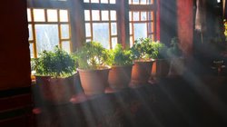 राजस्थान में इधर बेटे ने की आत्महत्या, उधर घर पहुंची पुलिस, दरवाजा खोला तो मंजर देख दहल गया दिल