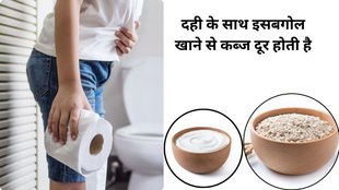 isabgol with dahi benefits,isabgol with dahi for constipation control, Weight loss with Isabgol,Psyllium husk with dahi,isabgol with dahi,Isabgol health benefits