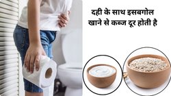 दही के साथ रोज़ इसबगोल का सेवन किया जाए तो सेहत पर कैसा होता है असर, जानिए