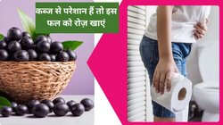 कब्ज की दवा है ये फल, गर्मी में रोज खा लें पेट से लेकर आंतों तक की हो जाएगी सफाई, बॉडी को मिलेंगे 4 फायदे