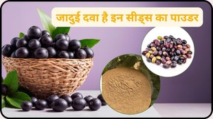 jamun seeds benefits for diabetes, jamun for liver health, jamun seed powder uses, black plum for sugar control, jamun antioxidant properties, Indian blackberry seeds health benefits, jamun for fatty liver, how to eat jamun for diabetes,