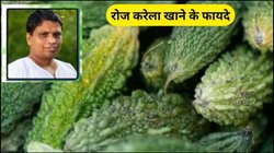 कड़वा है मगर सेहत के लिए वरदान, करेला खाने से कौन सी बीमारियां होंगी ठीक, आचार्य बालकृष्ण से जानिए