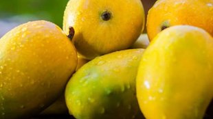 Foods To Avoid With Mangoes, these 5 foods you must avoid after consuming mango, mango ke sath kya nahi khana chahiye, mango eating tips, mango side effects