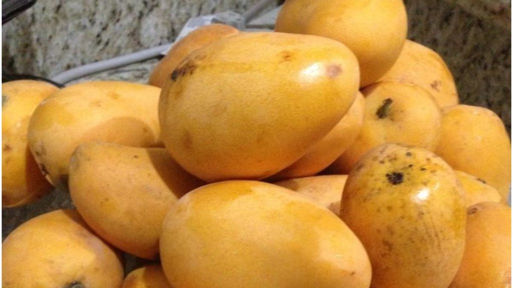 Tips to Preserve Mangoes