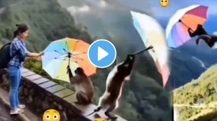 monkey flies after taking umbrella