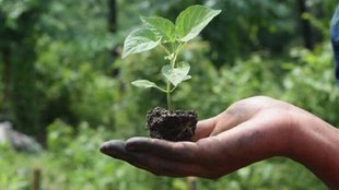 natural farming, concerned about health
