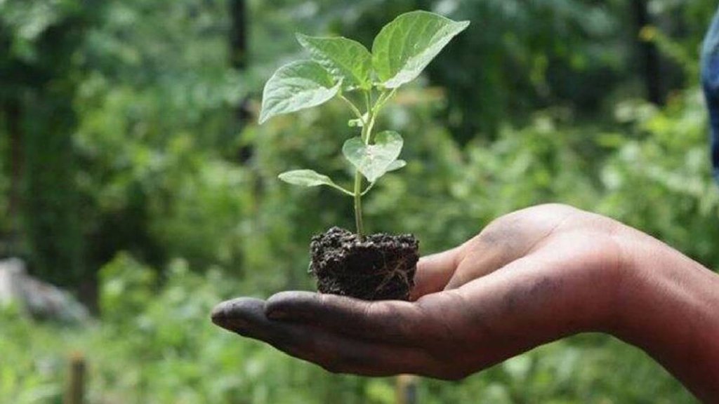 natural farming, concerned about health