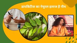 फास्टिंग शुगर हमेशा हाई रहता है तो इस 1 हरे पत्ते को बासी मुंह चबा लें, खाली पेट के साथ ही खाने के बाद की Sugar भी होगी नॉर्मल, जानिए कैसे