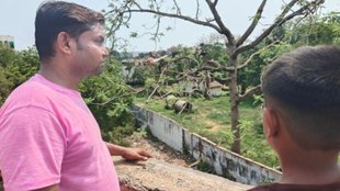 Air india crash, ahmedabad plane crash,aircraft accident,