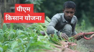 pm kisan, pm kisan yojana