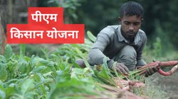 PM Kisan 20th installment: 4 महीने से ज्यादा का वक्त, जून में नहीं आई पीएम किसान की 20वीं किस्त, जानें अब कब आएंगे किसानों के खाते में 2000 रुपये