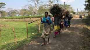 world bank, world bank poverty line, World bank poverty rate