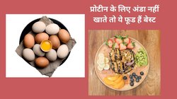 वजन कंट्रोल करती है प्रोटीन डाइट, अंडा नहीं खाते तो इन 4 फूड्स से करें कमी को पूरा, फौलादी बन जाएगी बॉडी