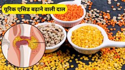 बेशक प्रोटीन का खज़ाना हैं 4 दालें लेकिन यूरिक एसिड के लिए खतरनाक, अनकंट्रोल्ड हो जाएगा जोड़ों का दर्द, अभी इन्हें डाइट से करें दूर