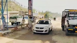 punjab news| PWD| forest dept