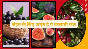 monsoon fruits, Jamun, litchi, and figs benefits, What are the fruits in monsoon season,What are the fruits according to seasons in India, Rainy Season Fruits in India,Best Monsoon Fruits to Eat for Health & Immunity, Immunity Boosting Rainy Season Fruits