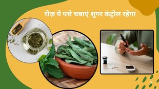 diabetes, blood sugar,leafs for blood sugar control,Sugar Leaf ,stevia benefit for diabetes,What are the benefits of stevia,