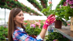 Summer flowers: गर्मी के मौसम में लगाएं ये 5 फूल वाले पौधे, रंग-बिरंगा नजर आएगा आपका घर