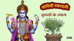 Yogini Ekadashi, Yogini Ekadashi 2025, Yogini Ekadashi 2025 date, Yogini Ekadashi bhadra kaal, Yogini Ekadashi vrat timing, Yogini Ekadashi shubh muhurat, Yogini Ekadashi puja vidhi, kab hai Yogini Ekadashi, निर्जला एकादशी, निर्जला एकादशी 2025, विष्णु जी आरती, om jai jagdish lyrics, Yogini Ekadashi 2024 katha, Yogini ekadashi upay, offer this one thing to Tulsi on Yogini Ekadashi, How Do You Use Dried Holy Basil, तुलसी के सूखे पौधे का क्या करें, Tulsi Ke Sukhe Paudhe Ke Upay, tulsi ke upay, yogini ekadashi tulsi ke upay,how to worship tulsi plant at home, tulsi vastu tips in hindi, why is tulsi plant kept outside, can we keep tulsi plant in front of main door, तुलसी सूख जाए तो क्या करें, तुलसी का पौधा कब उखाड़ना चाहिए, सूखी तुलसी के फायदे,