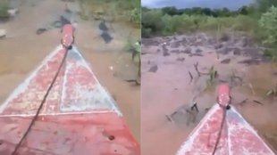 Viral Video| Trending News| Hindi News
