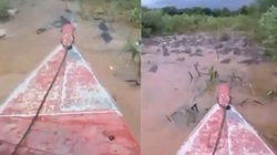 OMG! मगरमच्छ से भरे तालाब में नाव लेकर घुस गया शख्स, एक के बाद एक खूंखार जीव आ गए सामने फिर…, रौंगटे खड़े कर रहा Viral Video