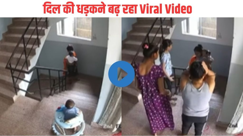Viral Video| Trending Video| Shocking Video