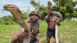 विशाल किंग कोबरा से खिलौने की तरह खेलता दिखा शख्स, Viral Video देख चौंक गए यूजर्स, कहा – यमराज के साथ…