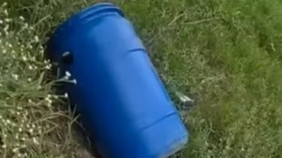 Ludhiana| Ludhiana Blue Drum| Ludhiana News