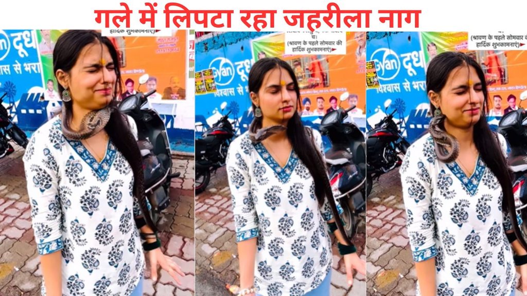 Snake Viral Video, Snake, naag, saanp