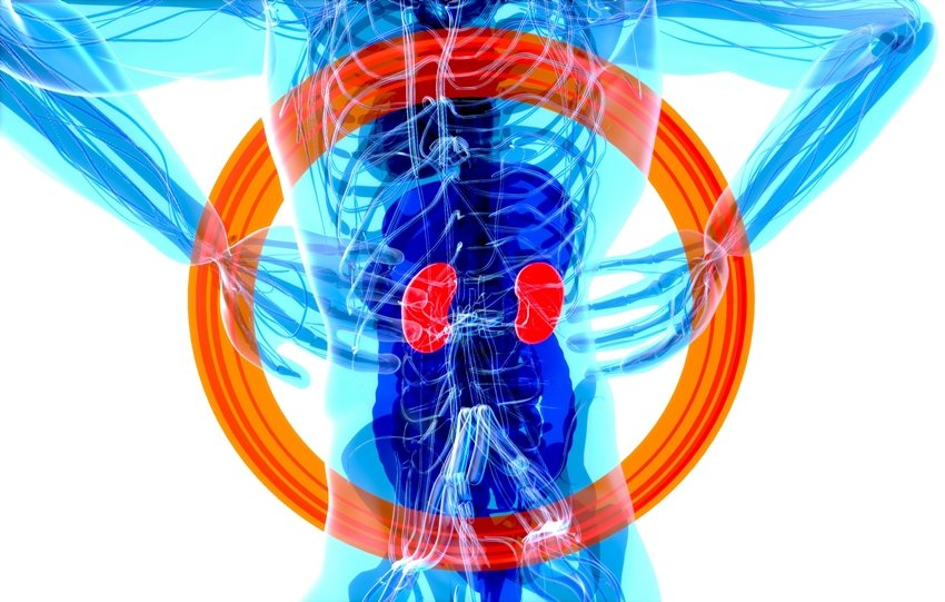 10 Warning Signs Your Kidneys Might Be in Danger