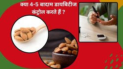 क्या रोज़ 4-5 बादाम खाने से Blood Sugar कंट्रोल हो सकता है? क्या इतने बादाम खाने से बॉडी को मिल जाता है पोषण, डायबिटोलॉजिस्ट से जानिए सच्चाई