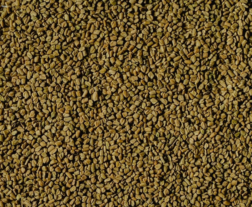 6 Amazing Benefits of Drinking Methi-Saunf Water Daily