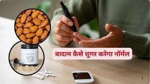 post-meal blood sugar control, sugar control, diabetes, blood sugar spike, how to control blood sugar spike, diabetes diet tips, Indian diet for diabetes