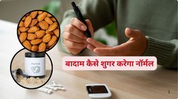 खाने से 30 मिनट पहले खाएं बादाम और व्हे प्रोटीन, Blood Sugar स्पाइक का टल जाएगा खतरा, डॉक्टर ने चौंकाने वाली दी जानकारी