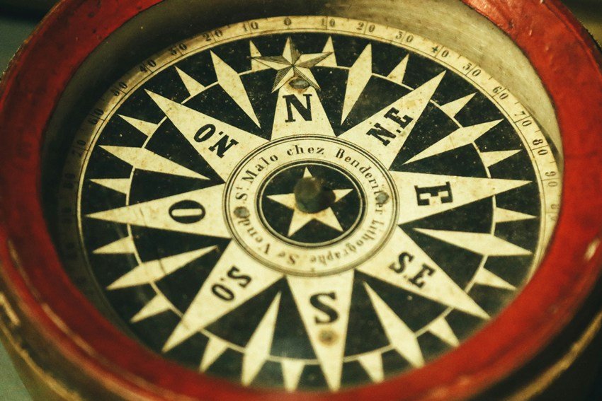 Home vastu for aloe vera