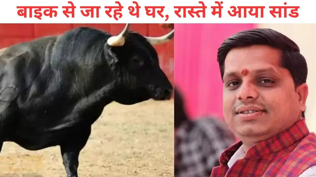 Amethi news, BJP Yuva Morcha leader, BJP Yuva Morcha leader Rahul Dubey dies, Bull attack