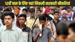 BPSC LDC Recruitment 2025: 12वीं पास के लिए यहां निकली सरकारी नौकरियां, bpsconline.bihar.gov.in पर करें Direct Link से अप्लाई