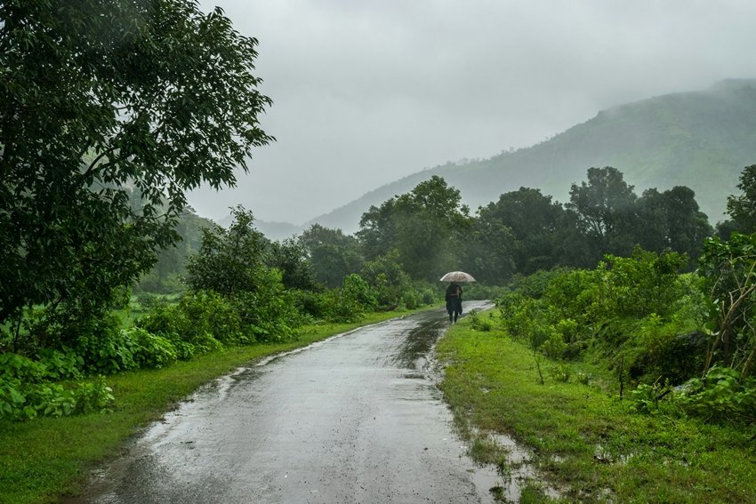Beat Monsoon Illnesses with These Immune-Boosting Foods