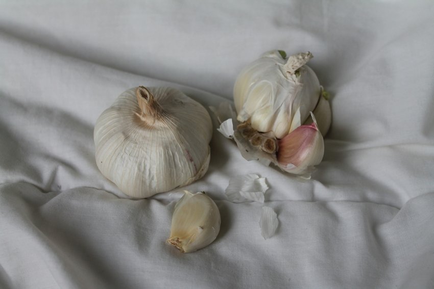 Best Foods for Monsoon Wellness