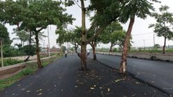 Bihar News: 100 करोड़ लगाकर बनाई सड़क, बीच का नजारा देख चौंक जाएंगे आप